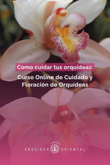 Curso Online de Cuidado y Floración de Orquídeas