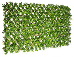 PVC Expandable Trellis 36"x 72" Schefflera Leaves