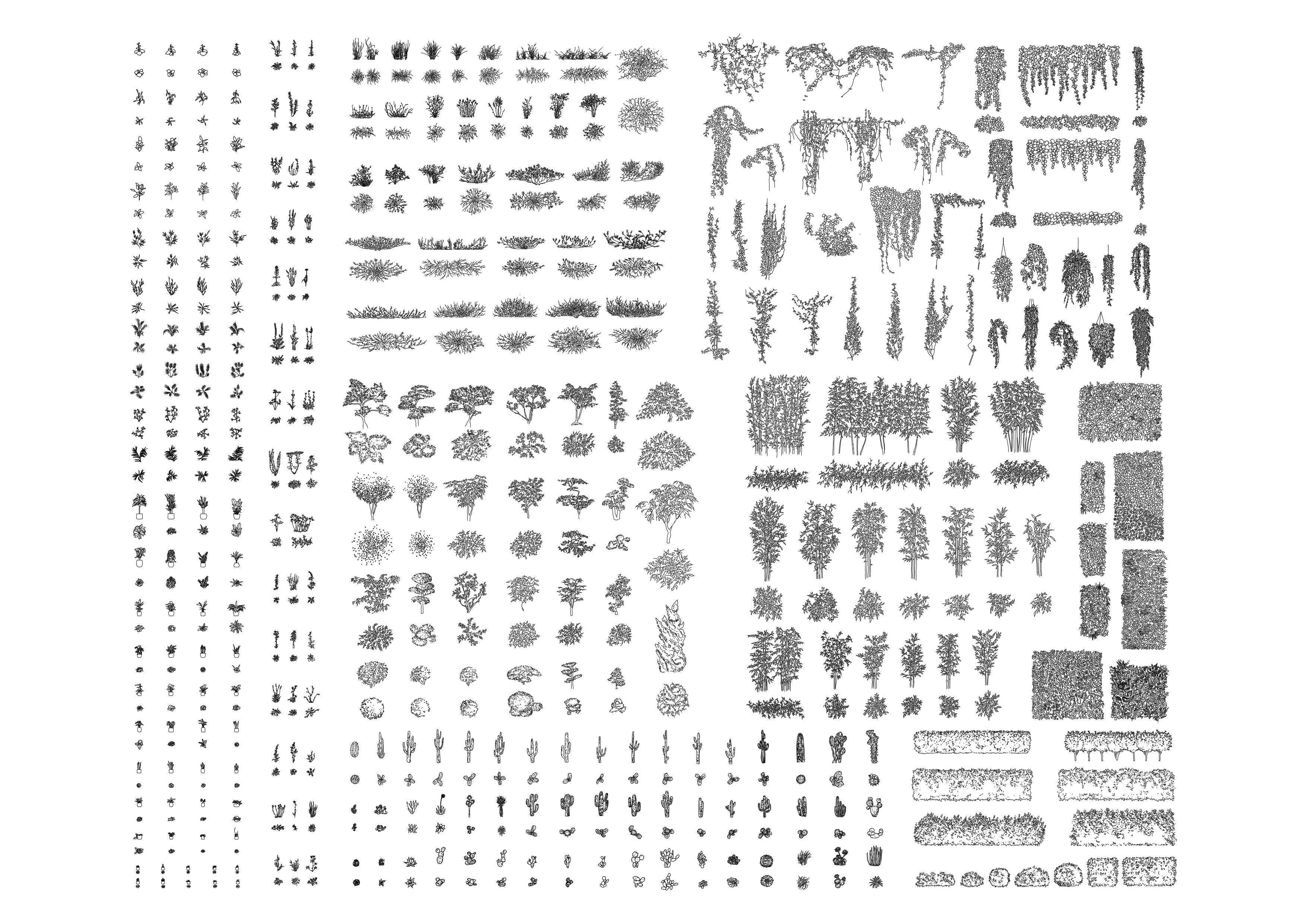 cad drawings of three-hundred outdoor and indoor plants in plan and elevation. Black and white drawing.