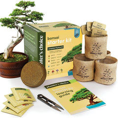 Bonsai - Starter Kit