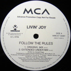 Livin' Joy : Follow The Rules (Exclusive Mixes From Visnadi & Satoshi Tomiie) (2x12", Promo)