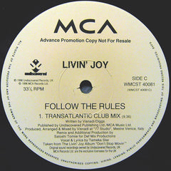 Livin' Joy : Follow The Rules (Exclusive Mixes From Visnadi & Satoshi Tomiie) (2x12", Promo)