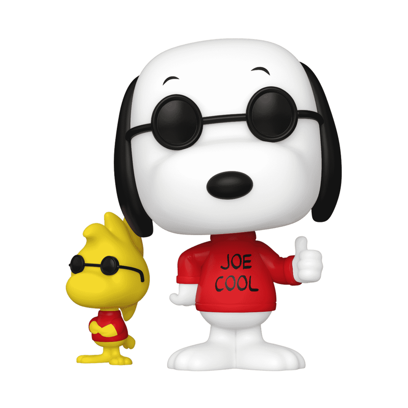 pop buddy joe cool woodstock 1680