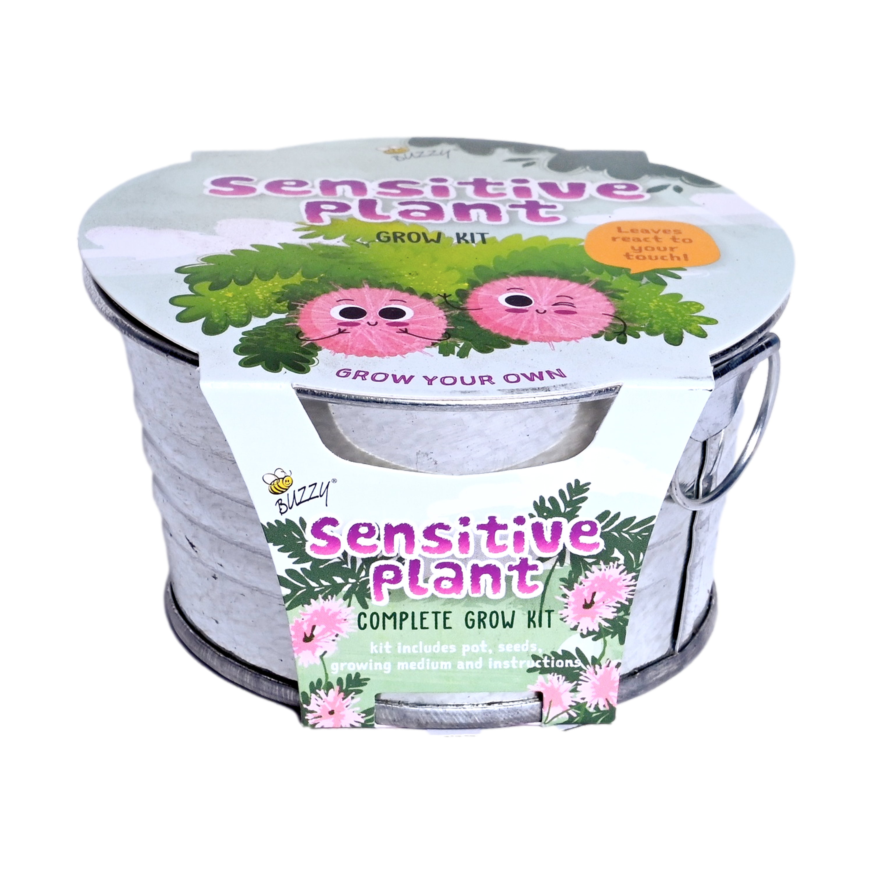 Sensitive Plant Grow Kit | Mini Basin for Kids