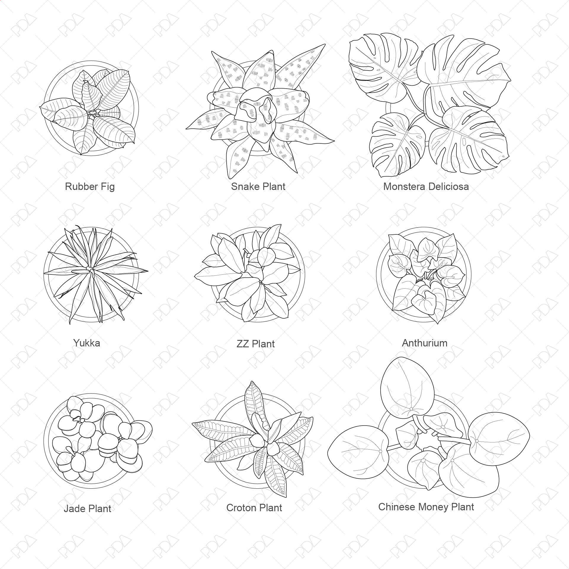 CAD and Vector Indoor Plants Set (Top view) - Post Digital Architecture — Free and Affordable Resources for Architects