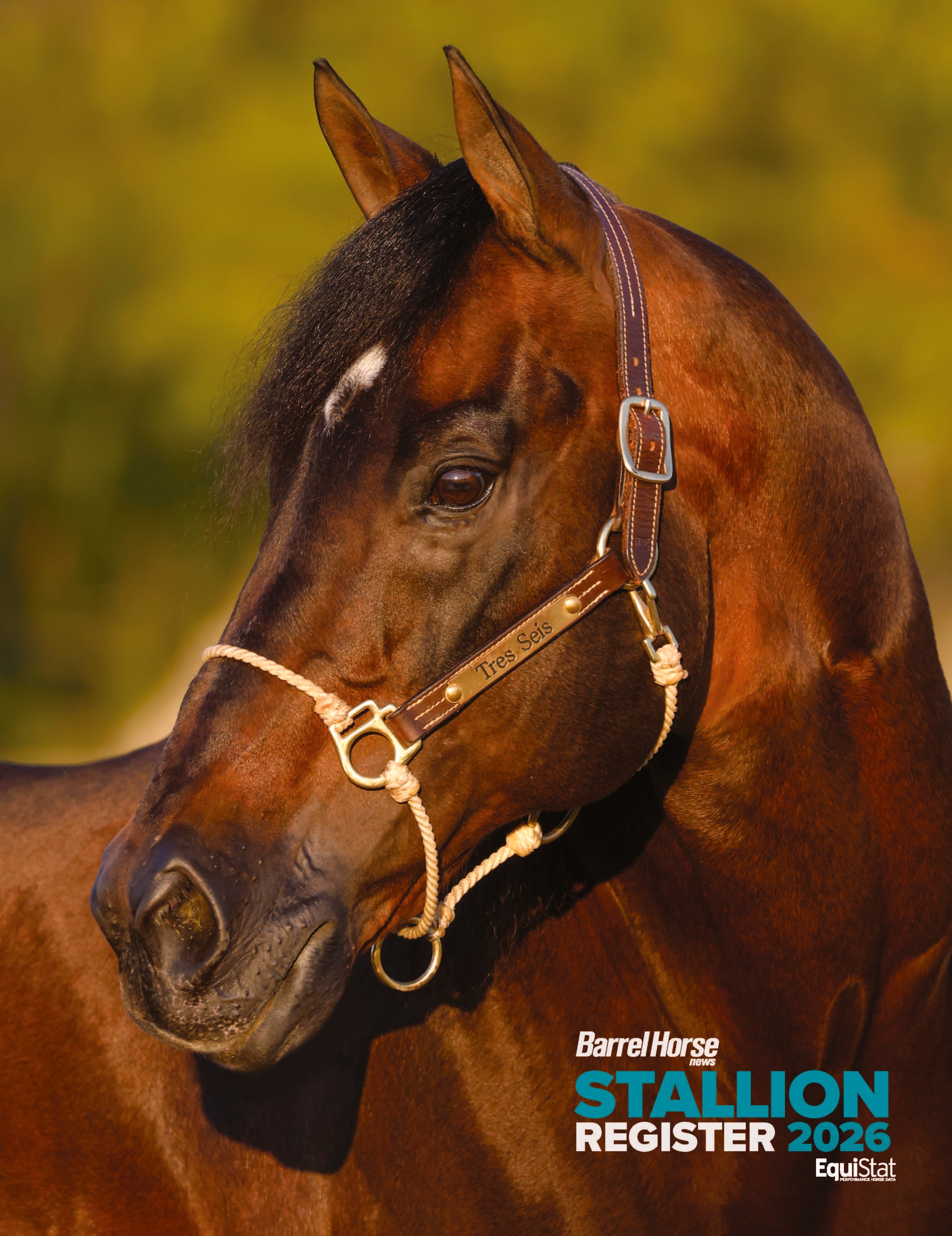 2026 BHN Stallion Register
