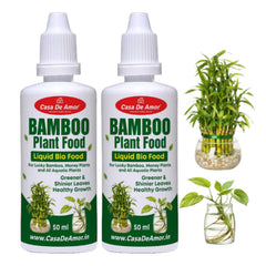 Casa De Amor Bamboo Plant Food for Lucky Bamboo & Money Plants | 2 x 50ml (100ml Total)