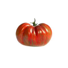 Red and green striped Berkeley Tie-Dye tomato on a white background