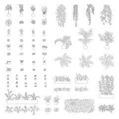 Office Plants DWG CAD Blocks in Plan and Elevation