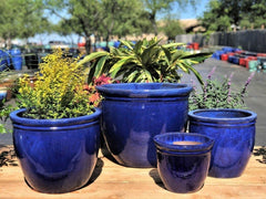Blue Double Rim Ceramic Planter