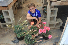 Echinobivia Rainbow Burst Ornamental Cactus-Cactus - Large - Exact-The Succulent Source