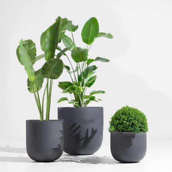 Round Fiber pots Small, Medium and Large