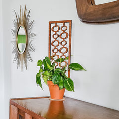 Modern indoor plant trellises for small houseplants in 2-6 inch pots..