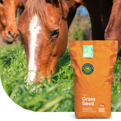 Horse – Recovery Mix | Pferdeweide Nachsaat