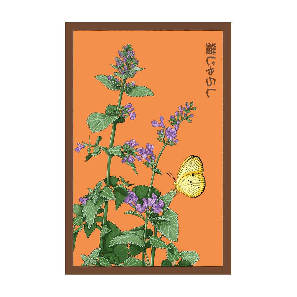 Catnip seed packet - Shido Seeds non-GMO vacuum-sealed woodblock design
