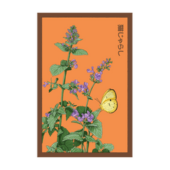 Catnip seed packet - Shido Seeds non-GMO vacuum-sealed woodblock design