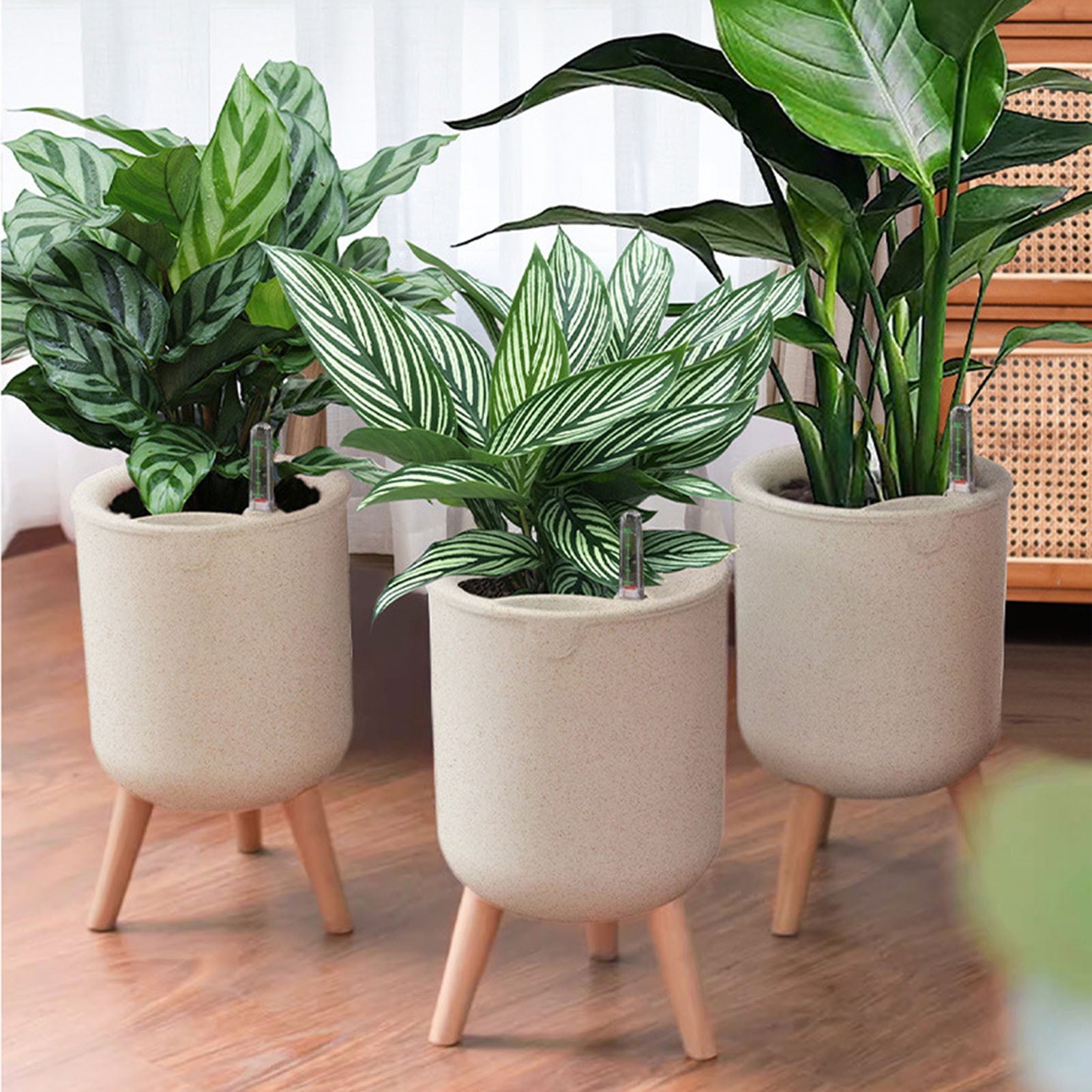 Self-Watering Planter with Water Level Indicator