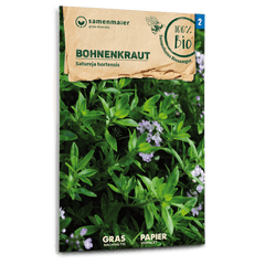 Samen Maier Bohnenkraut