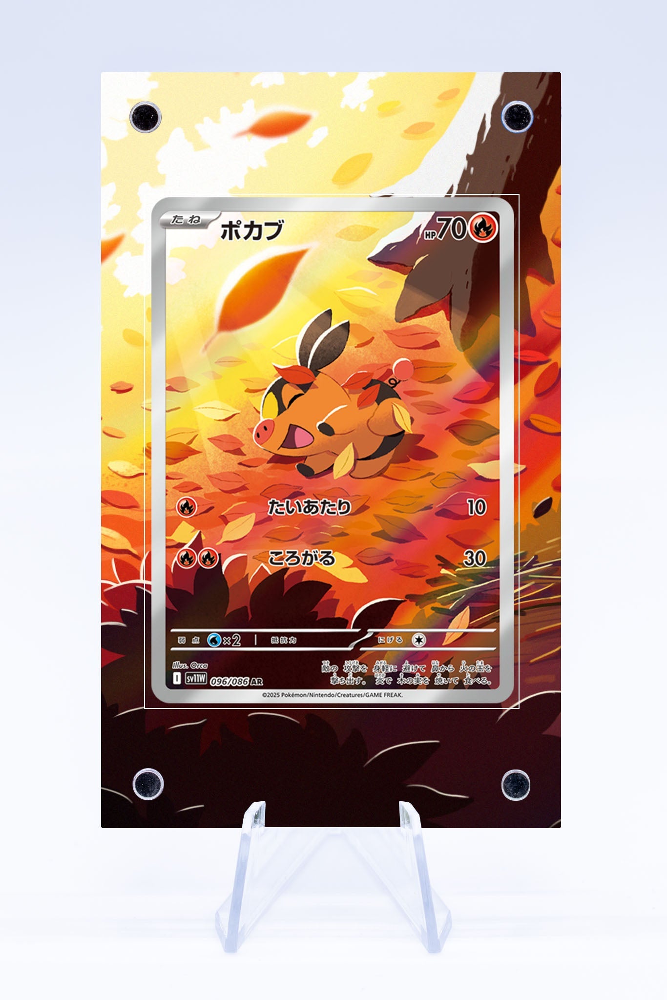 Tepig IR Case | Art Guard (Ungraded)