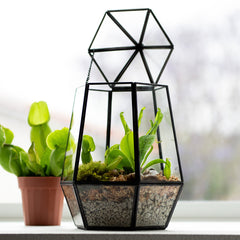SuperMoss Faceted Glass Atrium