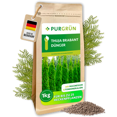 Thuja-Brabant-Dünger 1 kg