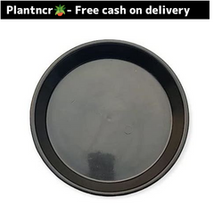 6 inch black plastic plate