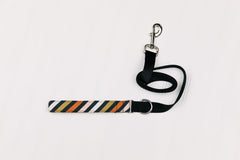 Seasonal Stripes Matching Dog Leash