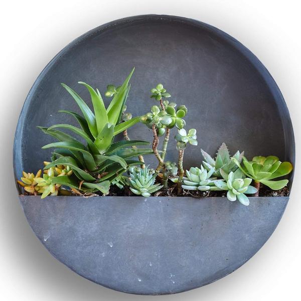 Wall Planters- Circle & Semi Circle Zinc Planters