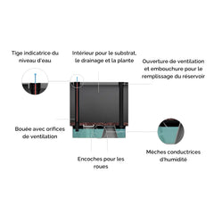 Jardinera - Woodgreen