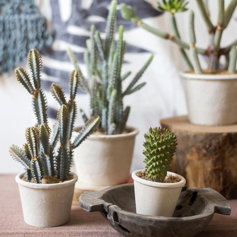 Artificial Faux Cactus Plant Bonsai Potted - RusticReach