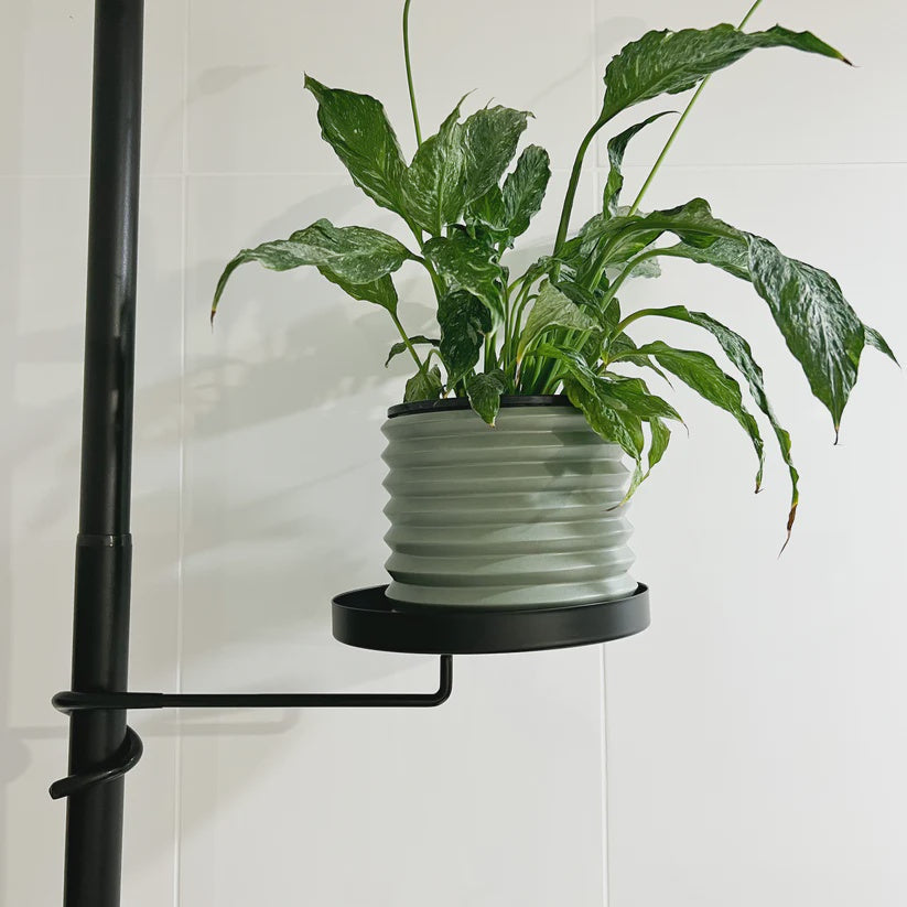 Plant Tension Pole Plant Tray - Medium