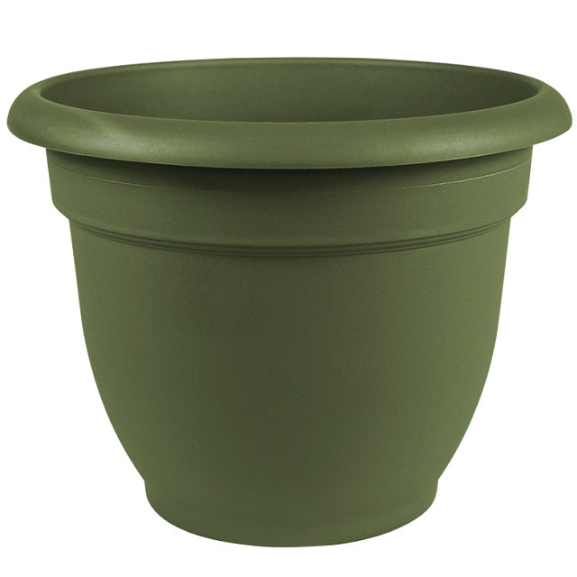 Bloem Ariana Plastic Self Watering Planter, 10" Assorted Colors
