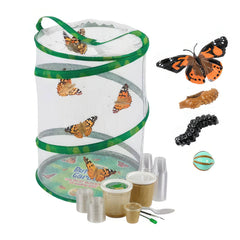 Kit d'élevage Papillons - 1 chenille par élève - 33 pots individuels