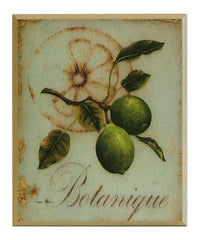 Obraz Motywy botaniczne, limonki na płycie 26x31 cm - ErgoPaul