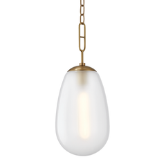 Hudson Valley Bruckner 1 Light Large Pendant Model: 2109-AGB