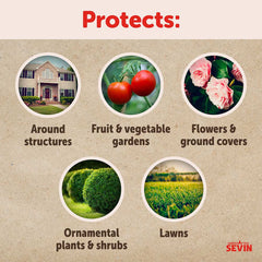 Sevin?? Insect Killer Ready to Spray