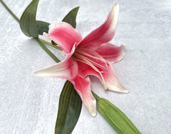 Faux pink Real Touch Asiatic lily with deep pink petals fading to white