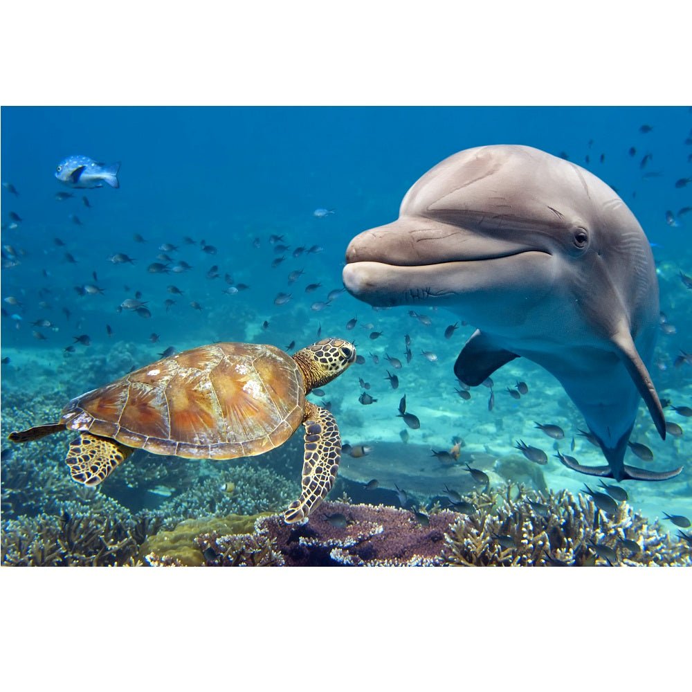 Realistic Dolphin and Turtle Underwater on Reef Fabric Panel
