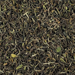 Sort, Darjeeling First Flush naturnær