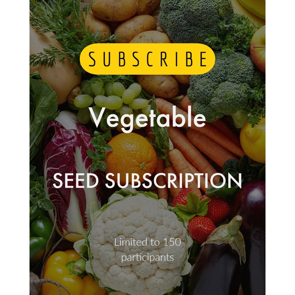 The Seed Club *Vegetable* Monthly Seed Subscription