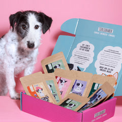 Proben Bundle