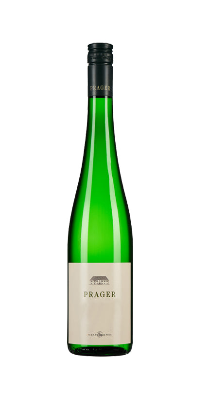 Grüner Veltliner Wachstum Bodenstein