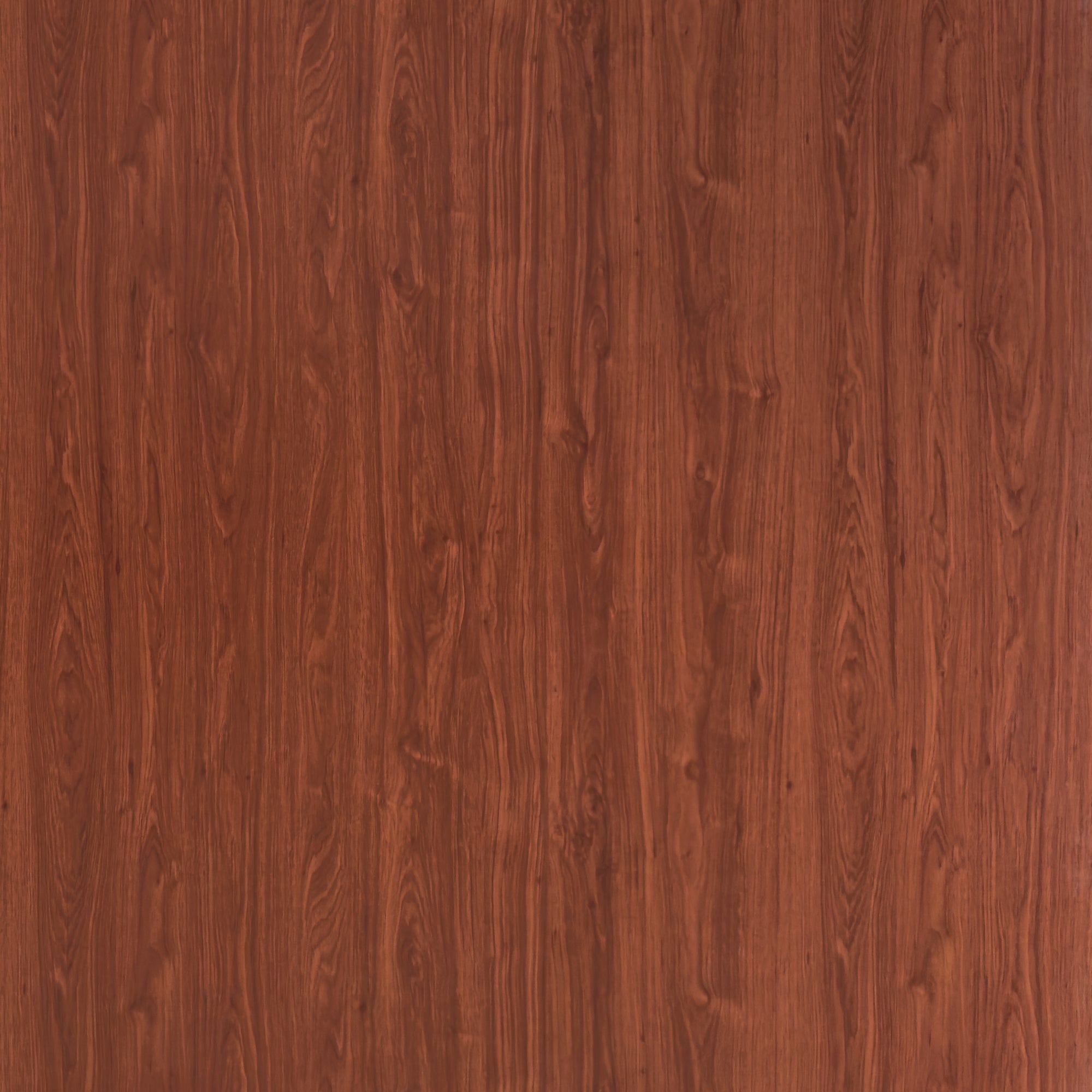 Puerta Cedro 75x200cm Foil sin Marco y sin Chapa - PUERTAS | Bylmo