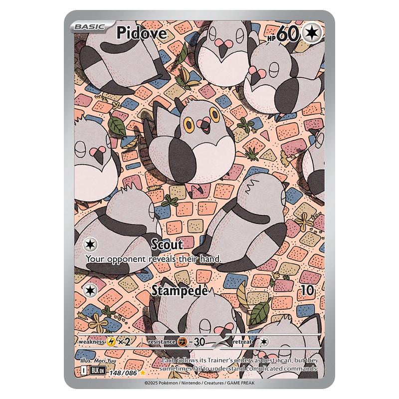 Pidove 148 card from the Pokemon set Black Bolt