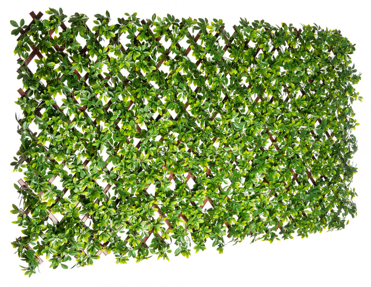 PVC Expandable Trellis 36"x 72" Schefflera Leaves