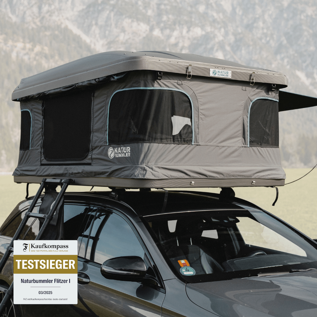 FLITZER 1 L (2025)