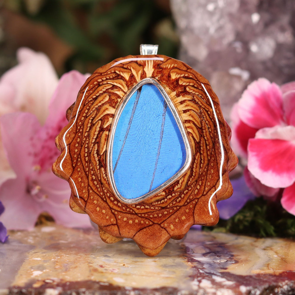 Blue Morpho Butterfly Wing
