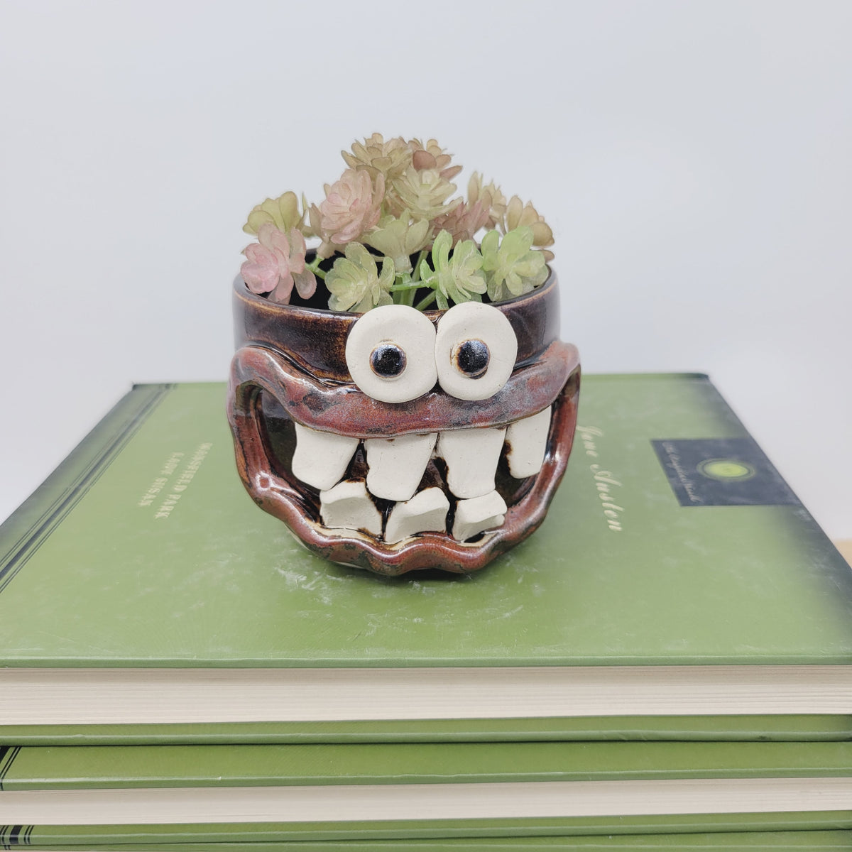 Funny Little Succulent Plant Holder | Smiley Face Plant Pot | Tiny Cute Mini Planter | Chocolate Black