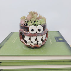 Funny Little Succulent Plant Holder | Smiley Face Plant Pot | Tiny Cute Mini Planter | Chocolate Black