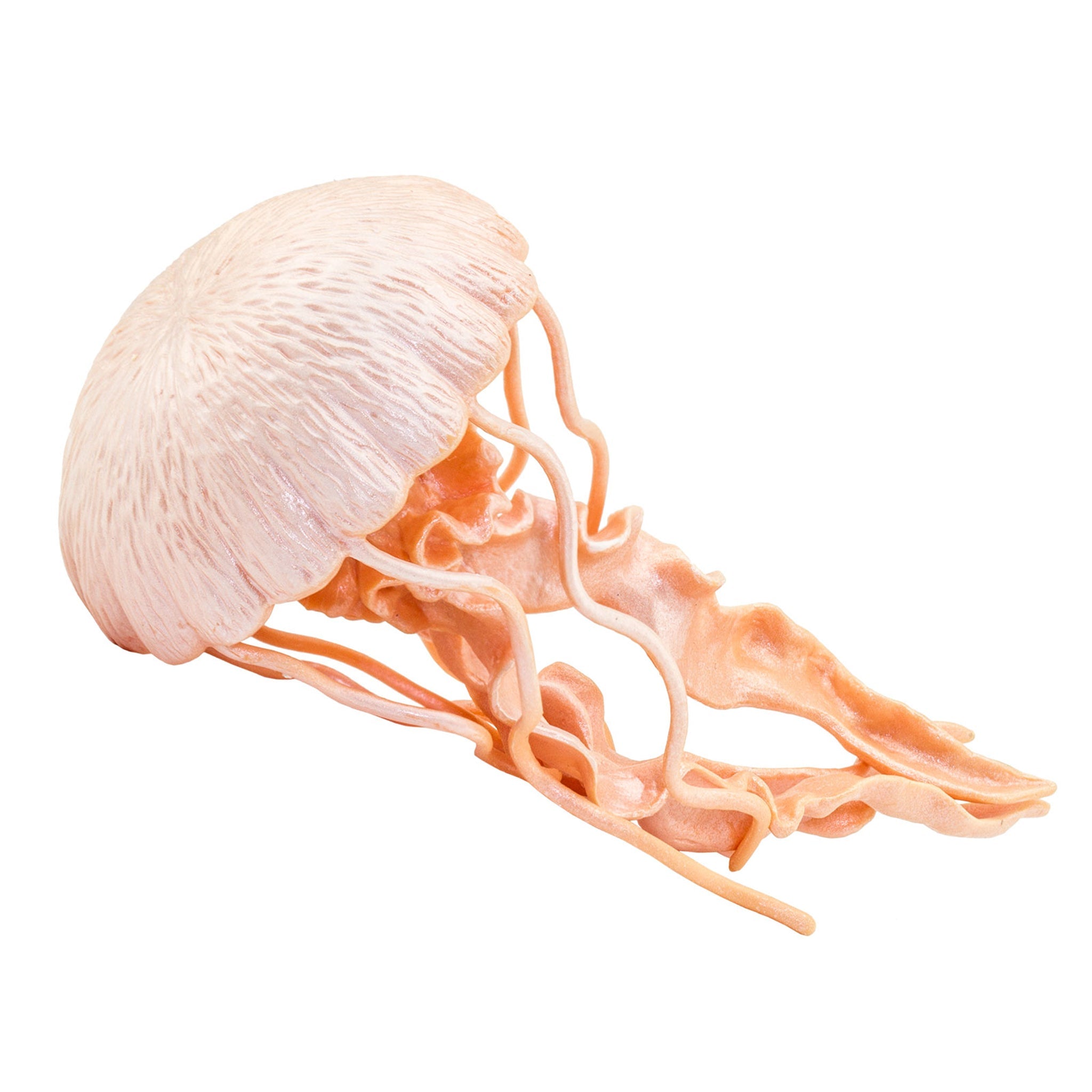Safari Ltd Jellyfish XL